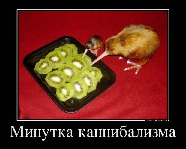Демотиваторы демотиваторы