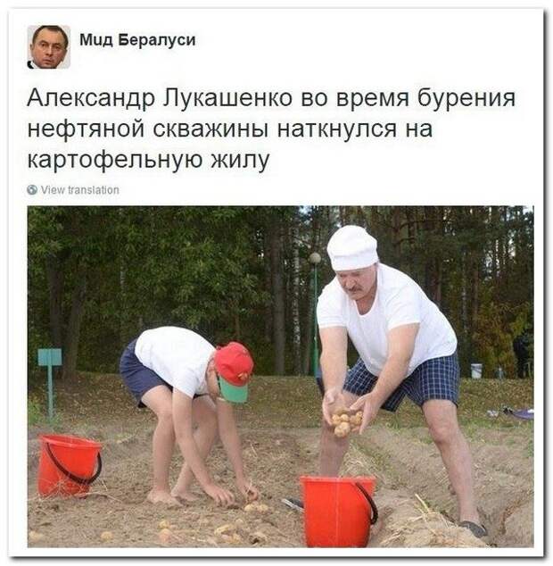 Комментарии с приколом