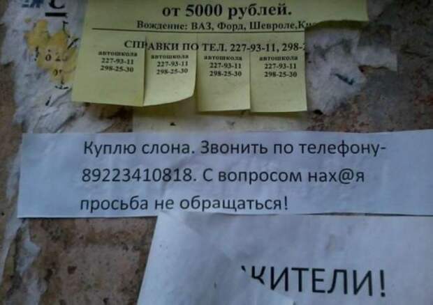 Смешные надписи и объявления Смешные надписи и объявления