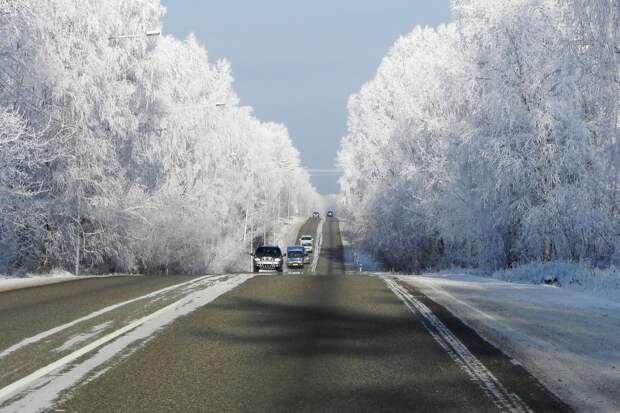 Дорога домой