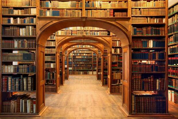 magnifique-bibliotheque-18