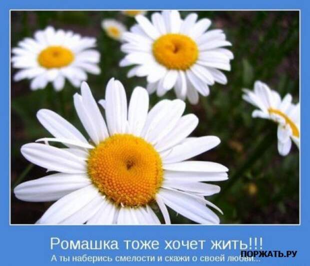Мотиваторы (21 фото)
