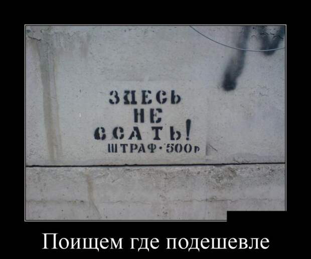 Демотиваторы №1054 (30 фото)