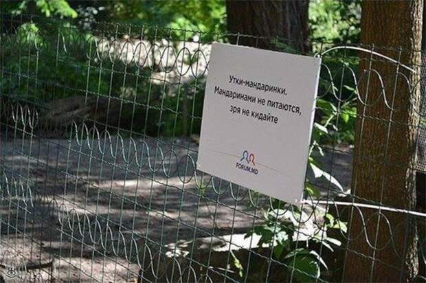 Приколы молдавского зоопарка 4