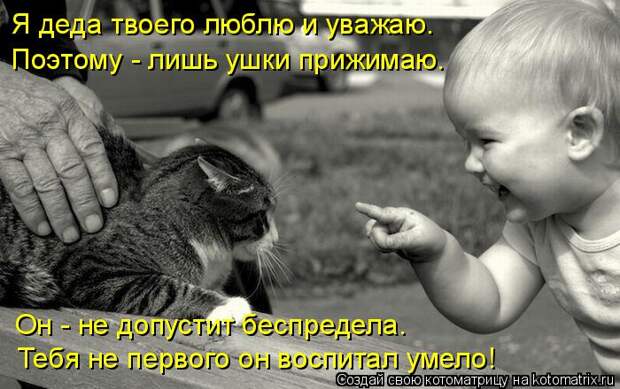 Котяры на приколе и их шаловливые друзья (35 фото)