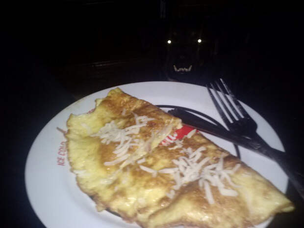 приставучие животные (11)