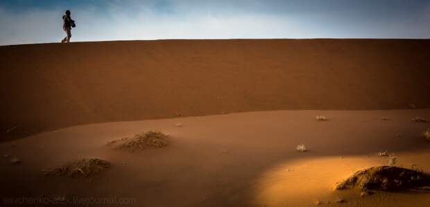 Африка. Намибия. Пустыня Намиб Соссусфлей Sossusvlei11 Африка. Намибия. Пустыня Намиб Соссусфлей