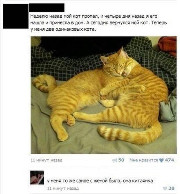 Смешные картинки с подписями картинки, прикол, юмор