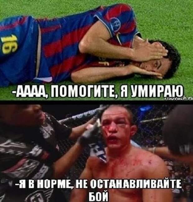 Весёлые картинки с юмором