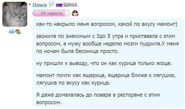 2. 2. беременность, чудики, юмор