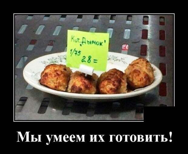 demotivatory-demotivator-smeshnye-demotivatory-demotivator-so-smyslom