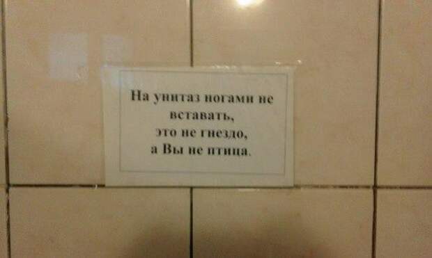 Смешные картинки с надписями прикол, юмор