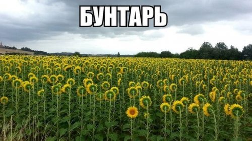 Доза прикольных картинок (58 шт)