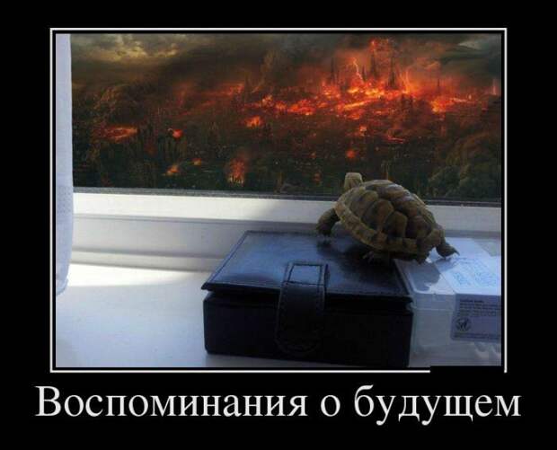 Сборник прикольных демотивационных картинок Сборник прикольных демотивационных картинок