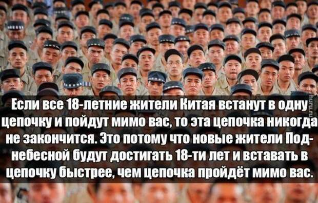 Смешные картинки картинки, прикол, юмор