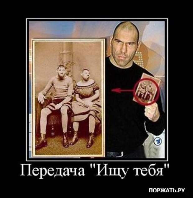 Демативаторы (21 фото)