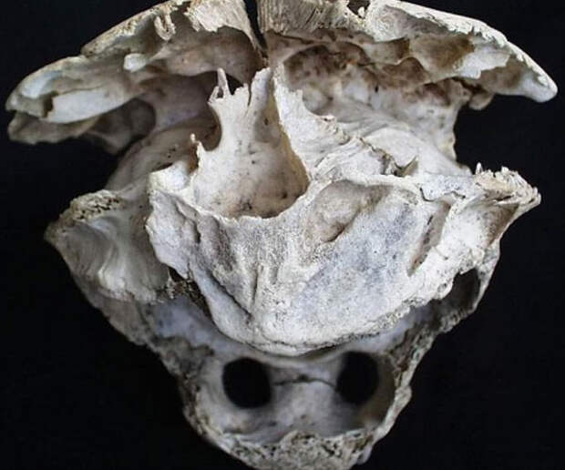 Болгарский череп инопланетянина