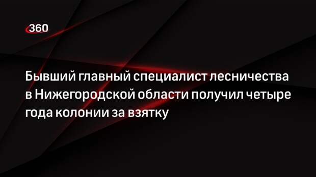 Бывший главный специалист лесничества в Нижегородской области получил четыре года колонии за взятку