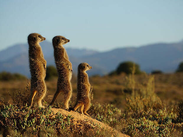 Лучшие фотографии июля 2015 от National Geographic