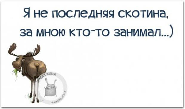 1439401046_l5nktkdrgb4 (450x265, 58Kb)