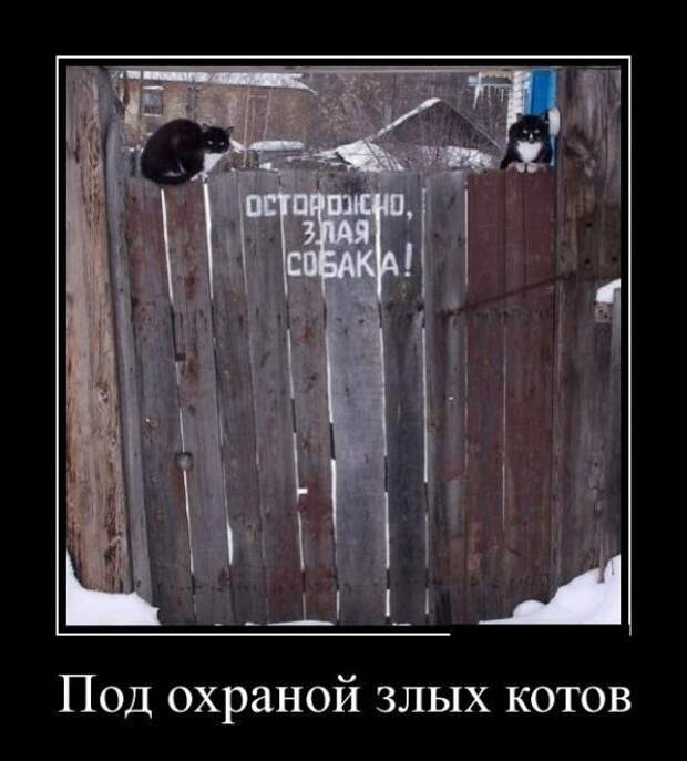 Подборка классных демотиваторов № 99