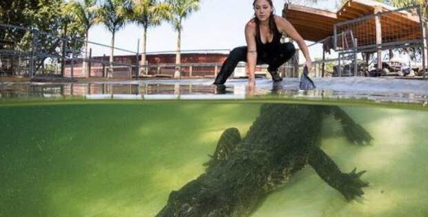 Девушка, которая любит крокодилов (фото)