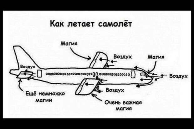 Прикольные картинки Прикольные картинки