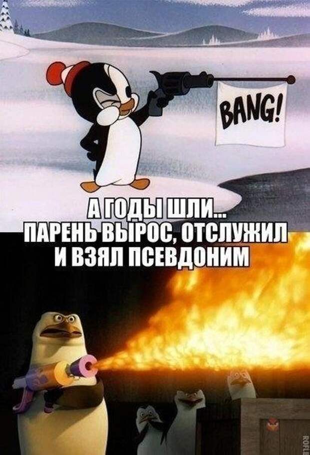 Прикольные фотомемы для отличного настроения (27 шт)