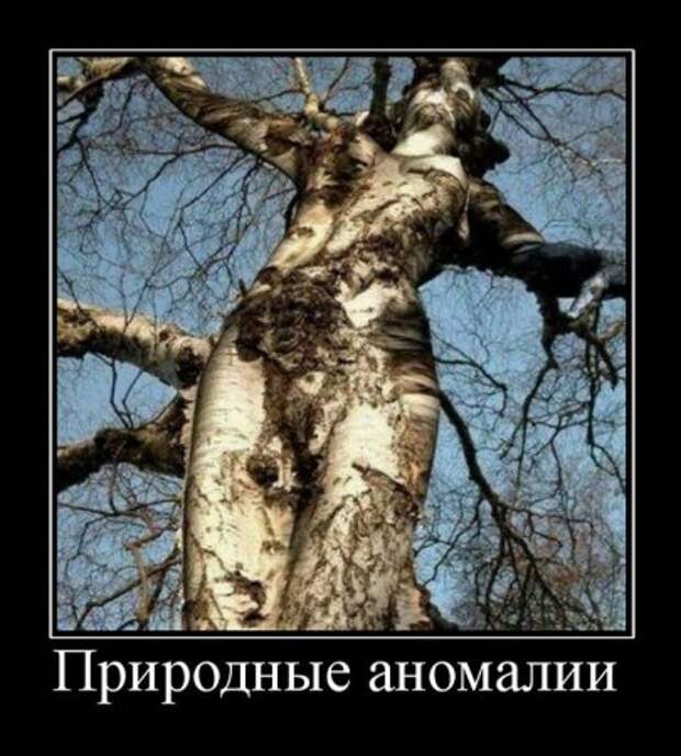 Демотиваторы по русски смешные.