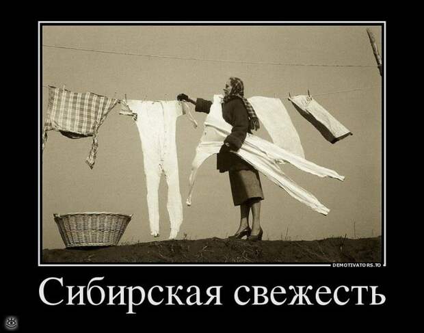 Дай волю русской тоске! 22