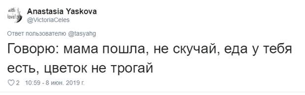 11. Тася Никитенко, животны, забавно, кот, кошка, люди, твиттер, юмор