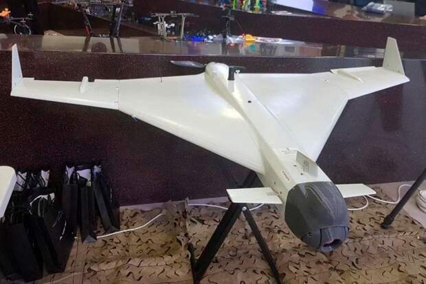 Опубликовано фото редкого российского дрона "Клин"