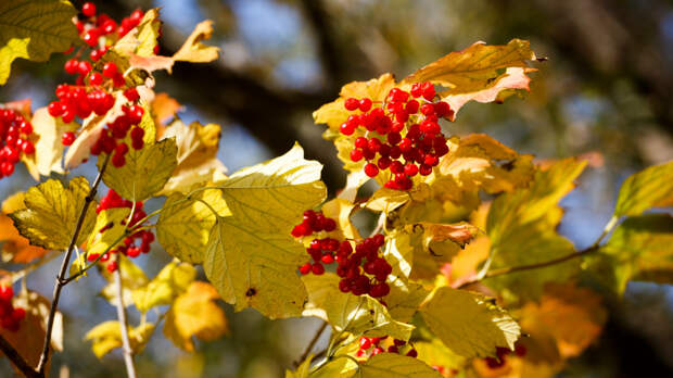Адриан Осенний и Наталья Овсяница: что можно и нельзя делать 8 сентября