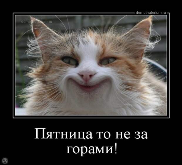 Мотиваторы и демотиваторы в сборке 2