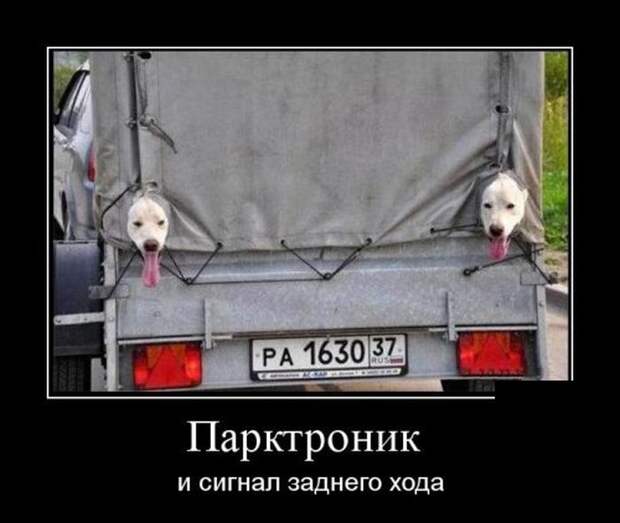Демотиваторы (30 фото)