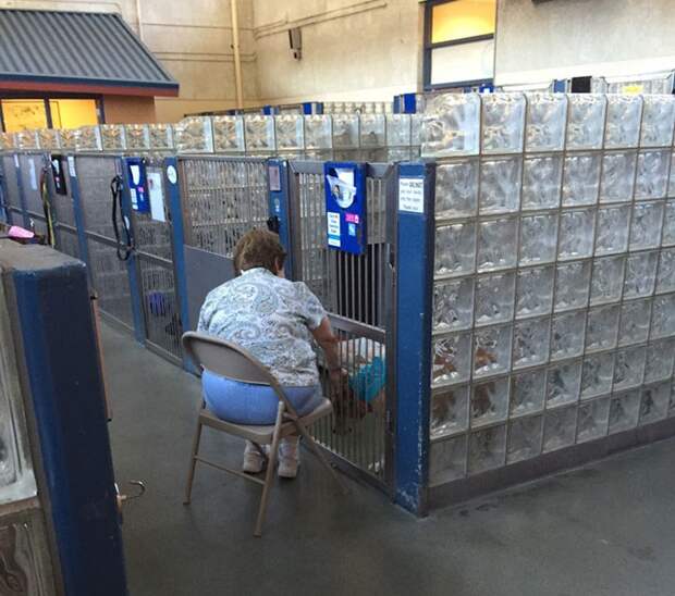 woman-reads-books-shelter-dogs-pittsburgh-1 (2)