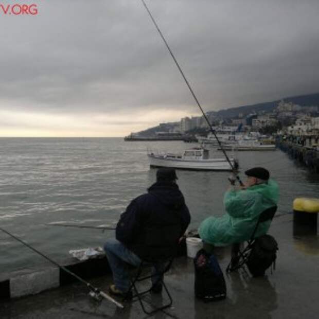 Новости Крыма