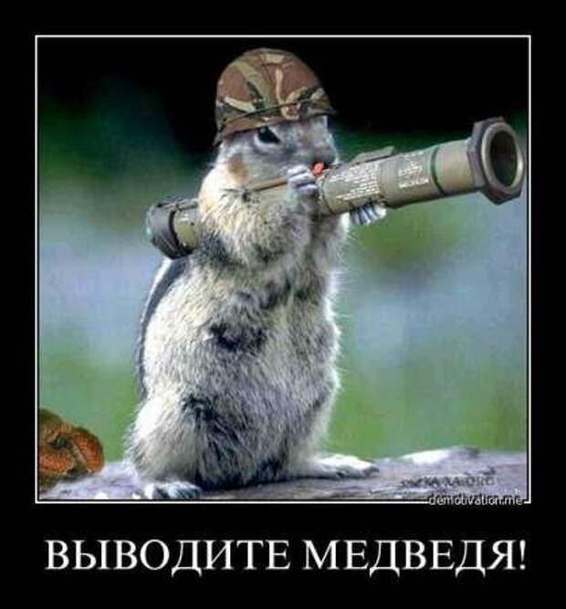 Демотиваторы новые, надписи и фото прикольные.