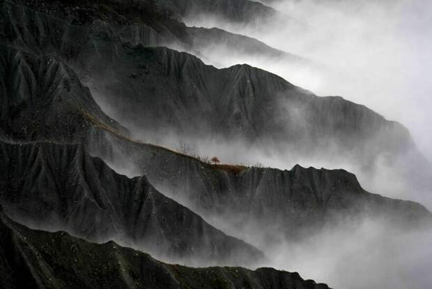 Gianluca Gianferrari