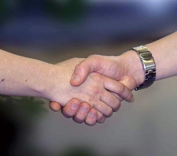 Рукопожатие. Фото:pixabay.com