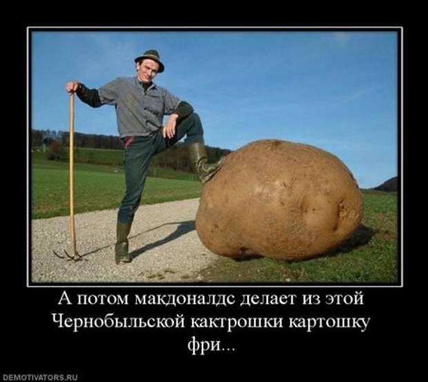 Веселые демотиваторы.