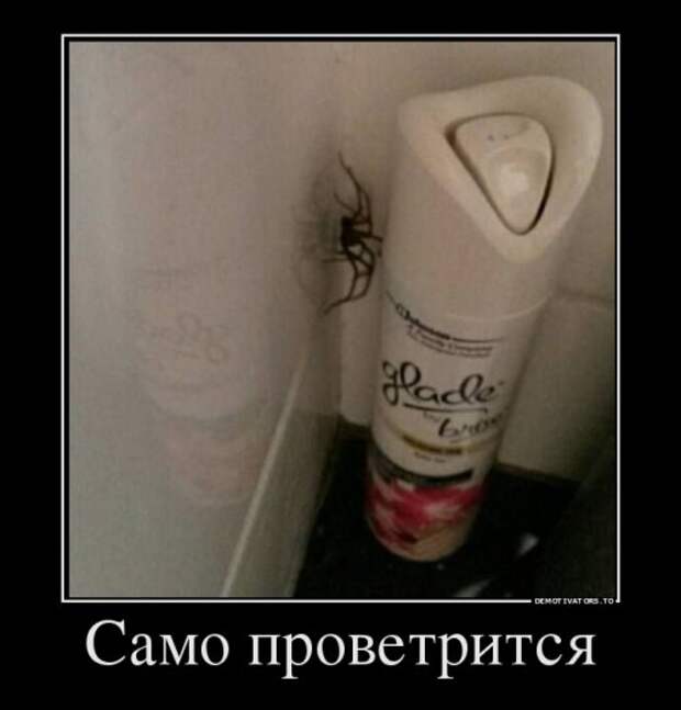 Новые демотиваторы (16 шт)