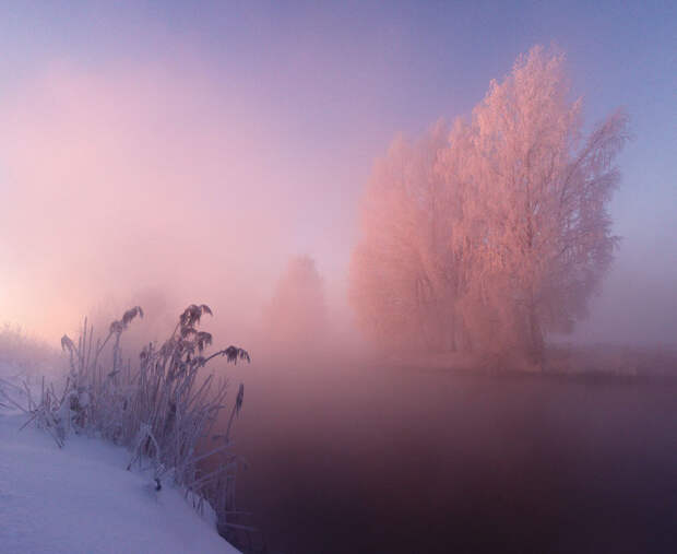 Белорусский фотограф встаёт рано на рассвете, чтобы запечатлеть красоту зимы белоруссия, зима, мороз, рассветы, фото