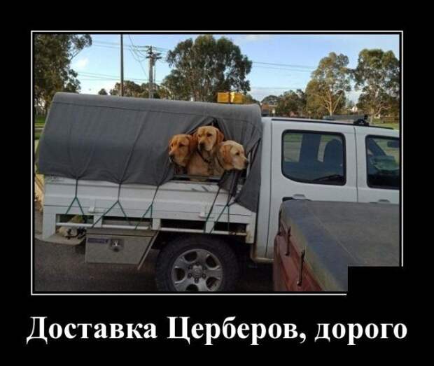 demotivatory-demotivator-smeshnye-demotivatory-demotivator-so-smyslom