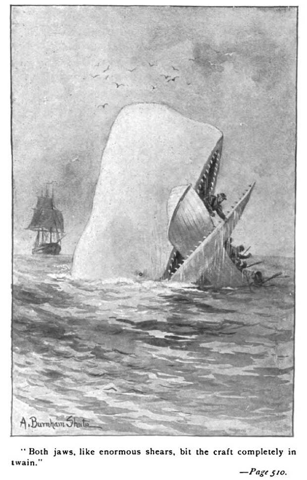 Moby_Dick_p510_illustration-610x956