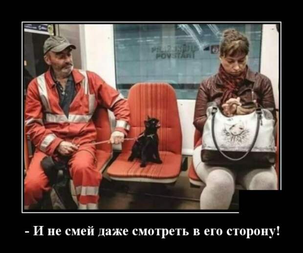 Демотиваторы (20 фото)