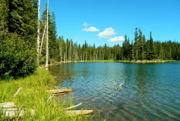 Смертельно опасные водоемы