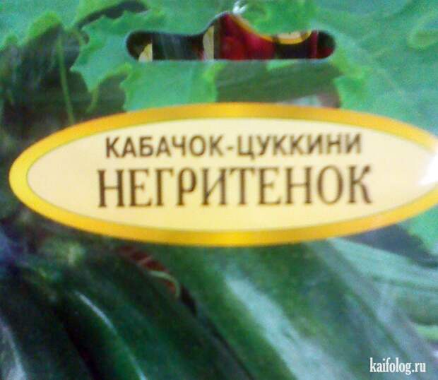 Прикольные семена (35 фото)