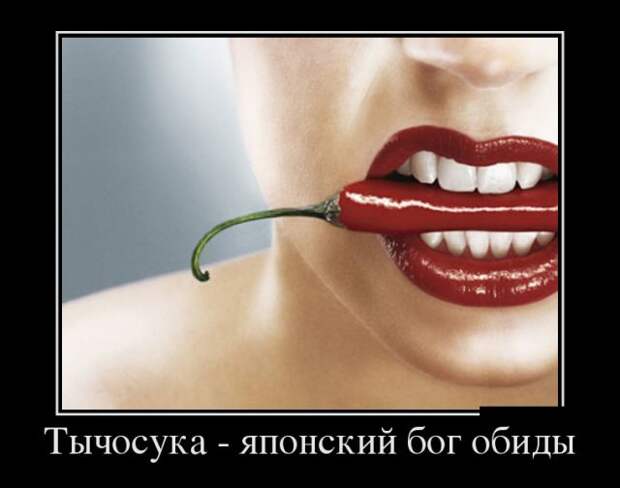 Демотиваторы (30 фото)