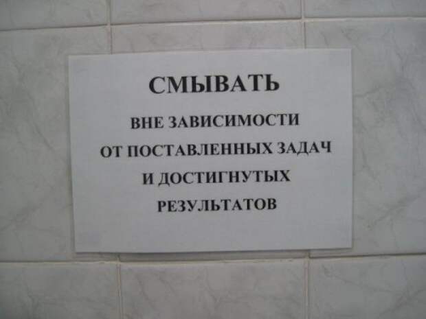 Прикольные картинки и фото (41 шт)